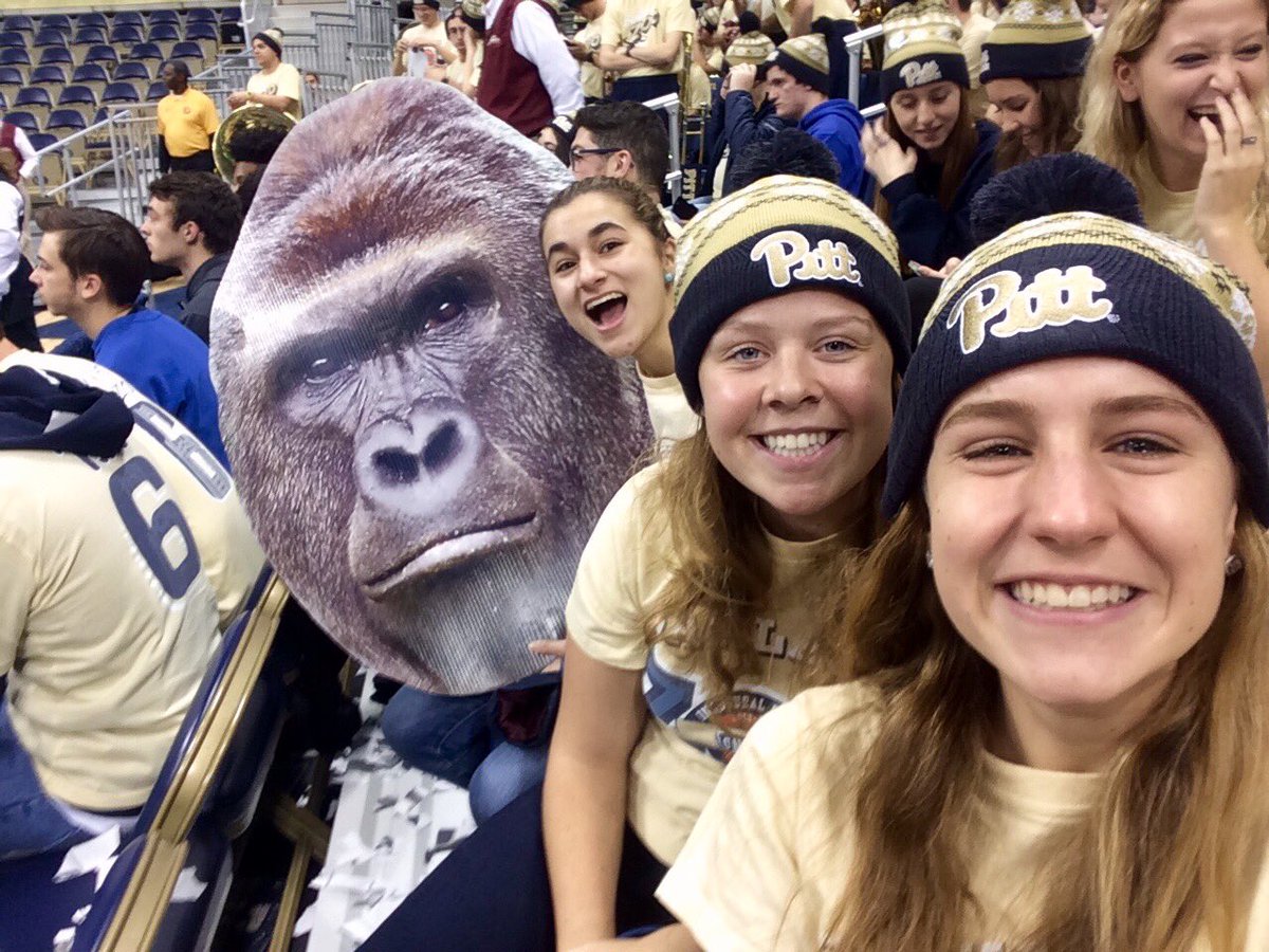 H2Pgina's tweet photo. Harambe hails to Pitt #OaklandZoo https://t.co/Mt49Vwpr9B
