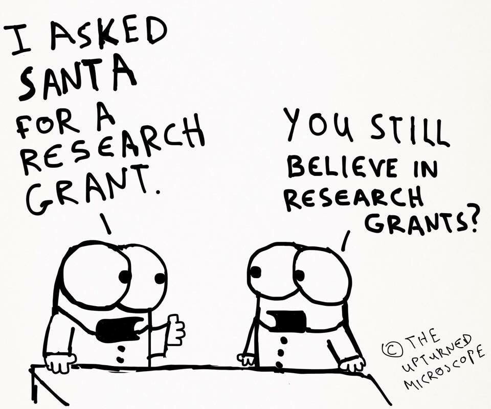 JohnCairney68's tweet photo. Festive hallway discussions #academic #university @Joe_Eisenmann @SKDowling @Emily_Bremer @Sloboda_Lab @dchirico1 https://t.co/tTQEoN2qlB