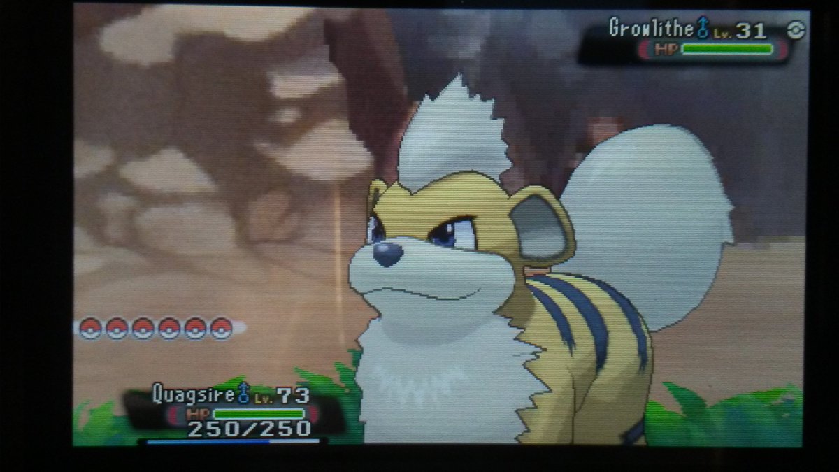[PokeCommunity.com] ~>{*Shiny Hunters Club}<~