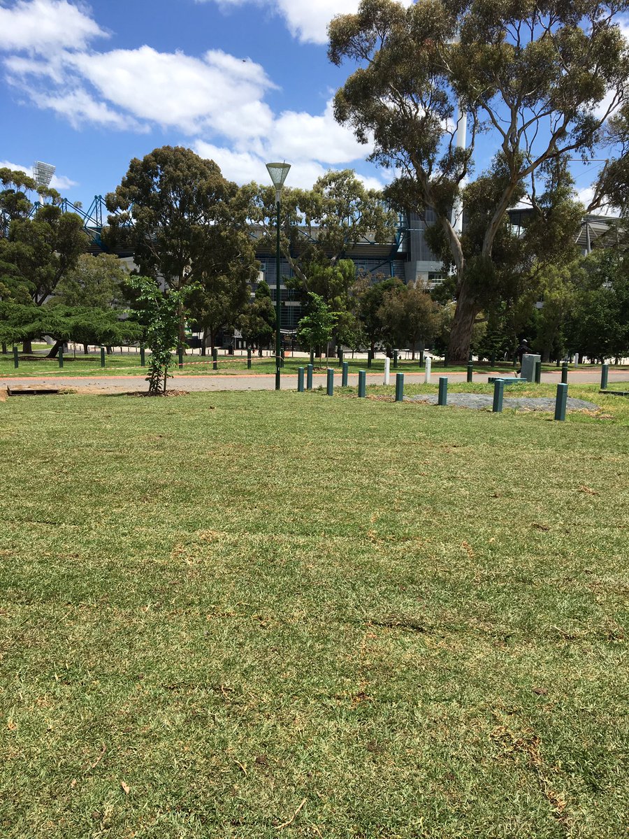 RC Designer Gardens tweet media