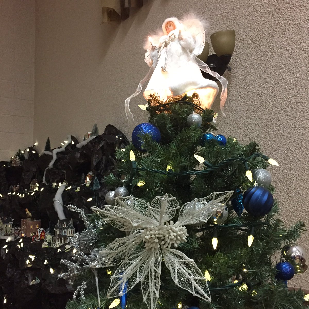 MadeiraClubTor's tweet photo. Christmas Season is here! https://t.co/QwkpA6F5to