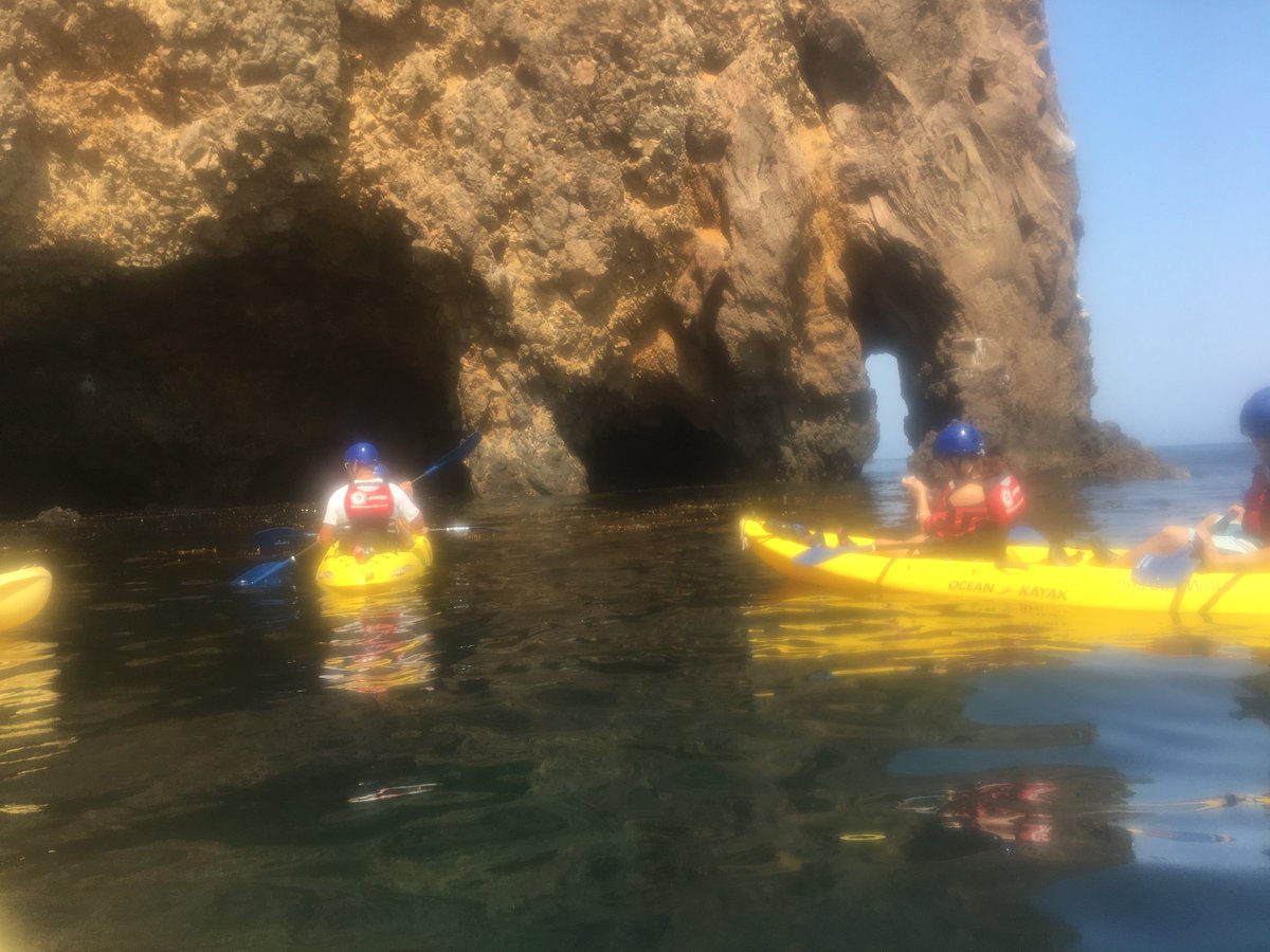 WeekendWomanWar's tweet photo. A9: Channel Islands blew my Utah mind. First time I saw dolphins, whales, and seals. Kayaked through sea caves. #ParkCha @rscottjones https://t.co/SrUX679Dpw