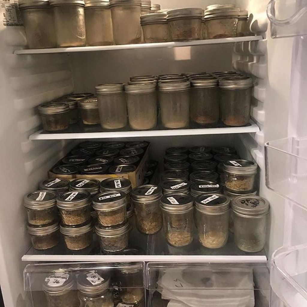 chroncierge's tweet photo. A sneak peek into @privilegedextracts @mahoneymelts @chroncierge Hash fridge for #emeraldc… https://t.co/MUCPfefZmZ https://t.co/Pk2ojyMOUc
