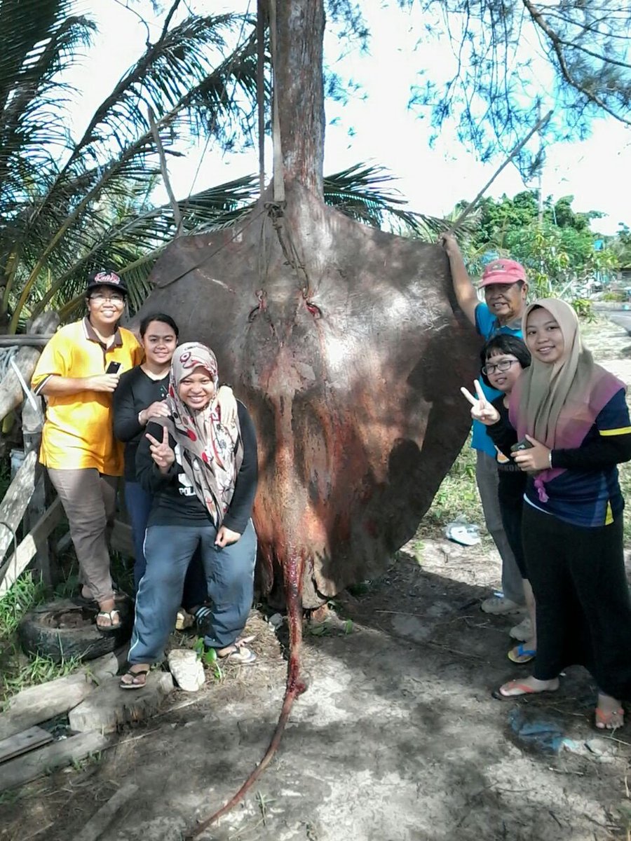 Sin Chew Daily Sin Chew Daily