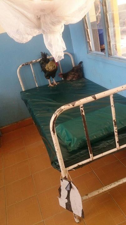 #TrueGhettoStory #DoctorsStrike <a href="/UKenyatta/">Uhuru Kenyatta</a> appeals to docs to return to work as deaths rise as Chicken become patients in #Hospitals #Brekko