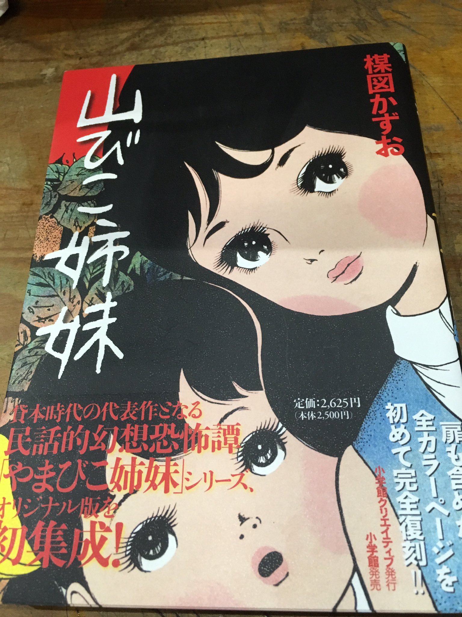 山びこ姉妹　楳図かずお【初版】付録付き 山びこ姉妹(楳図かずお ) / 古本、中古本、古書籍の通販は「日本