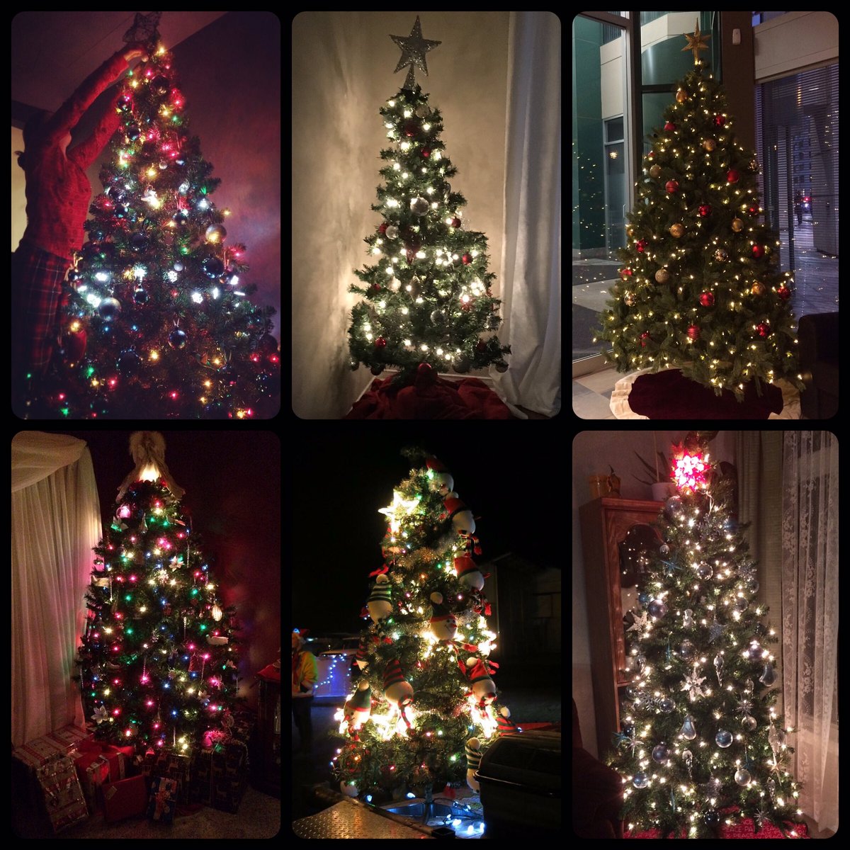 cweebee's tweet photo. I have decorated six Christmas trees so far this year. #ohChristmastree #christmastree #icouldprobablygetpaidtodothis 🎄🎄🎄🎄🎄🎄 https://t.co/ALjMwUG2FQ