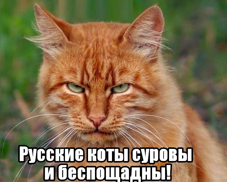 Обиженные картинки с надписями я так ждала