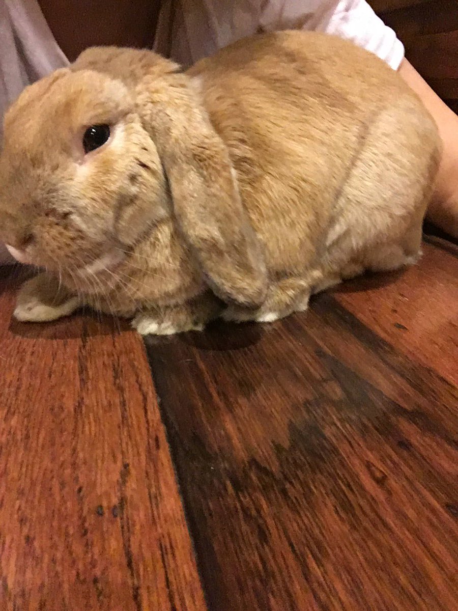 keeana_e's tweet image. loml 💓