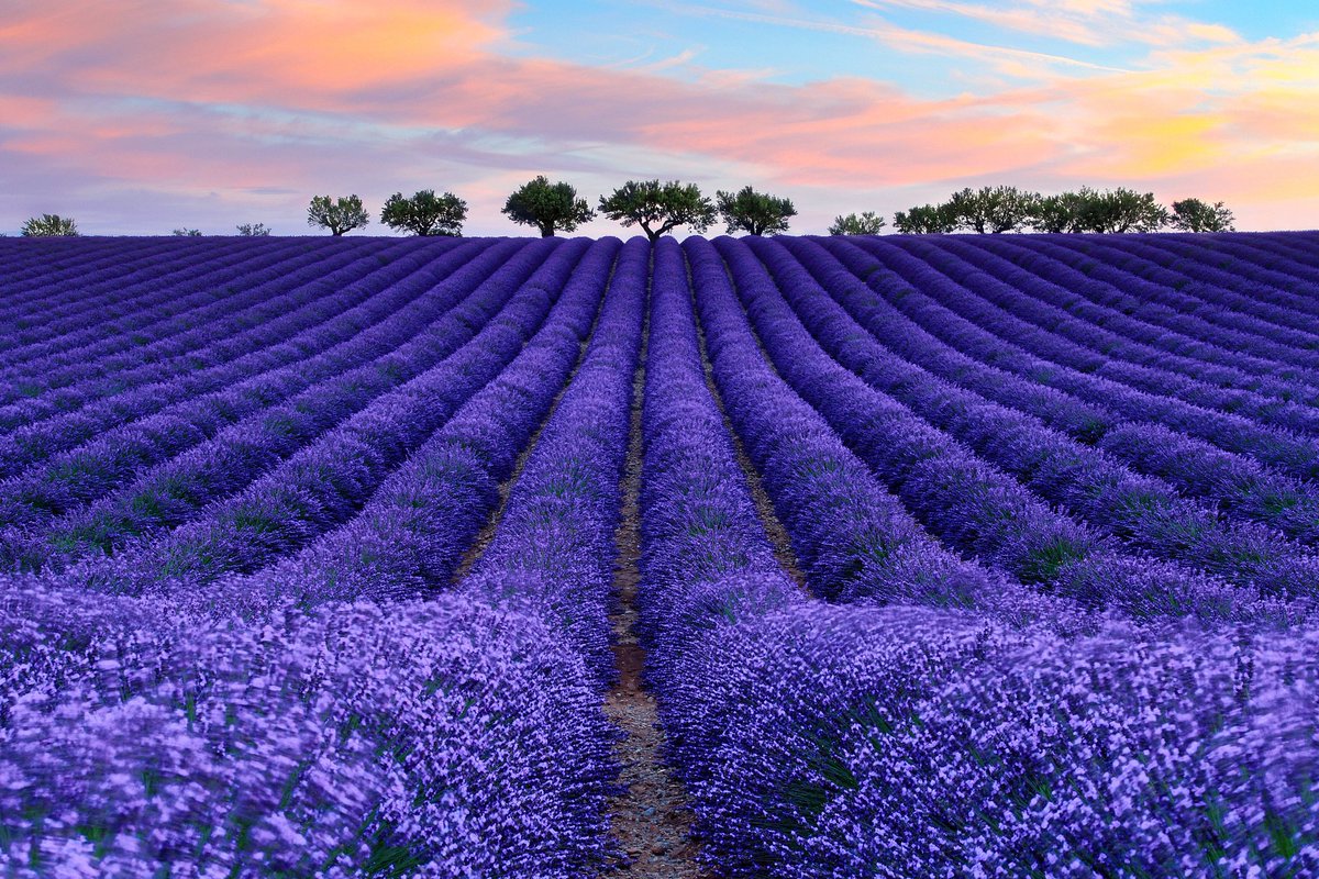cpa61's tweet photo. This World Exists

https://t.co/tbPdNWMKR6 https://t.co/AxNw2hzkqs
