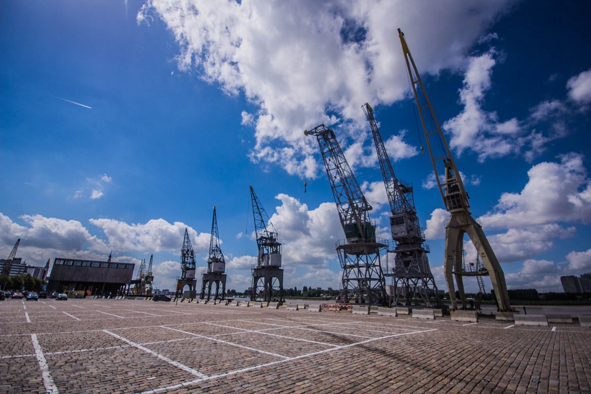 Fiere kranen in vol ornaat | Bestel deze exclusieve print op stadsmus.be | #stadsmus #antwerpen #fineart #print #kerstcadeau