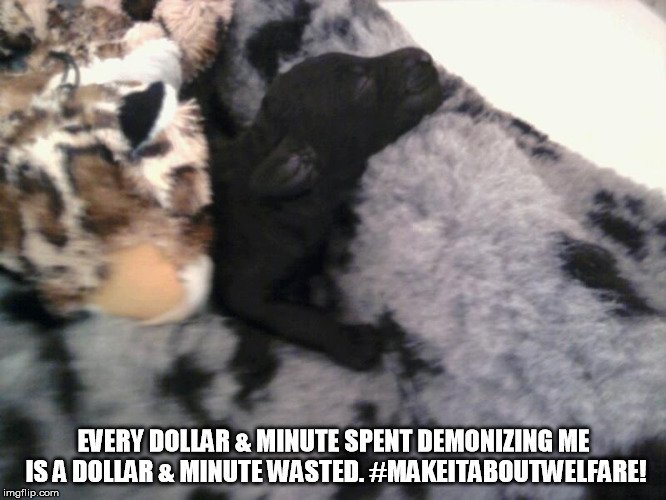 hfd371's tweet photo. Animal Rights vs Animal Welfare 101. Target the people who create disposable puppies, not adored ones! @JaalaPulford #makeitaboutwelfare https://t.co/5HGgYx7Bpr