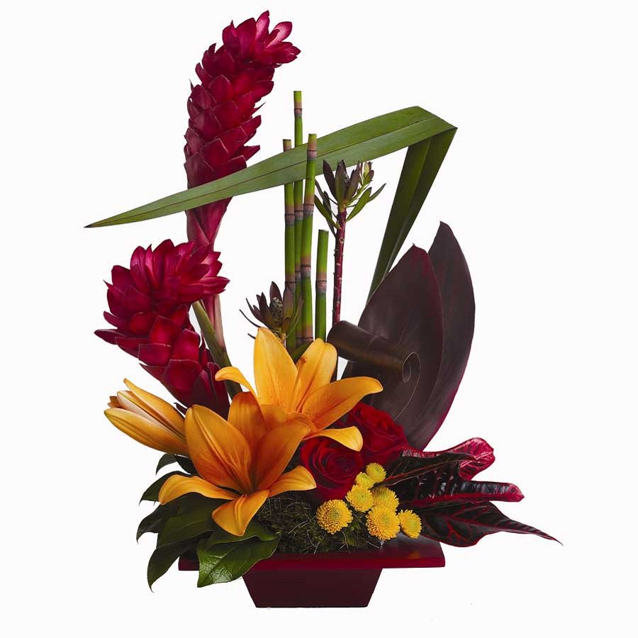 floristaus's tweet photo. Tropical Bliss https://t.co/rwUMcffKFE #Houseplant #Tropicalbliss #AU https://t.co/qASqZKXYh8