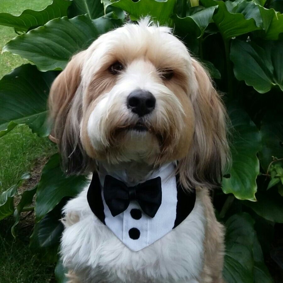 Yogiloki tweet media