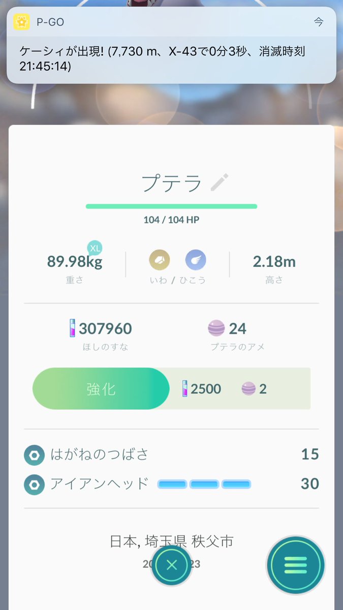 はがねのつばさ はがねのつばさ
