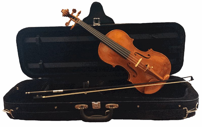 Don't Miss Out - Enter to Win Today!! conta.cc/2gqPKRe