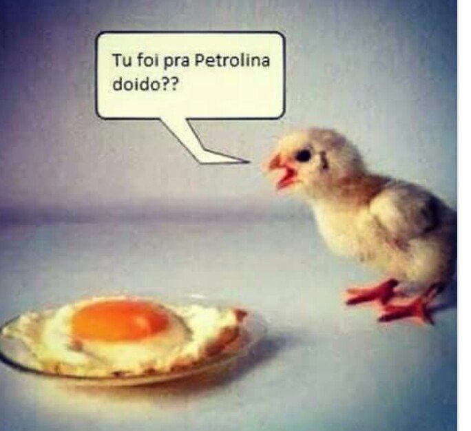 Ana Claudia TimBeta (@anafreirepe) on Twitter photo 