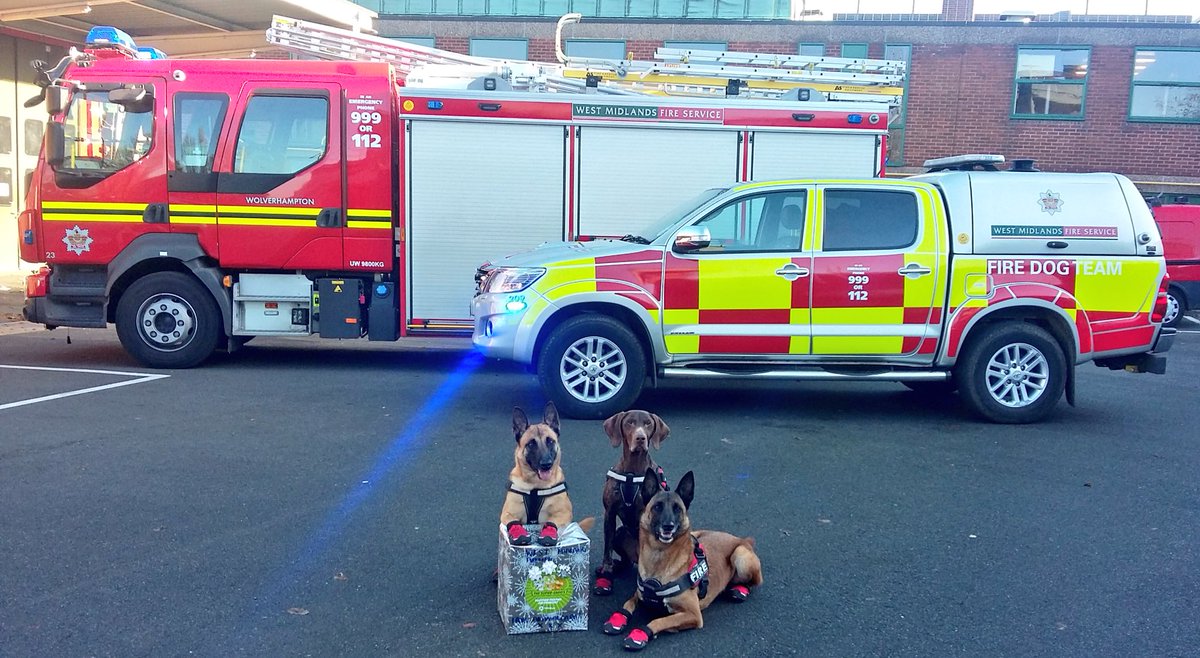 KnotweedDogs's tweet image. Big thanks to @Superearos @AnimalcareLtd @Petremedy1 for our 'Super Earos' competition prize!! Feeling chilled &amp;amp; super clean eared now!!👍🏻🚒🐶