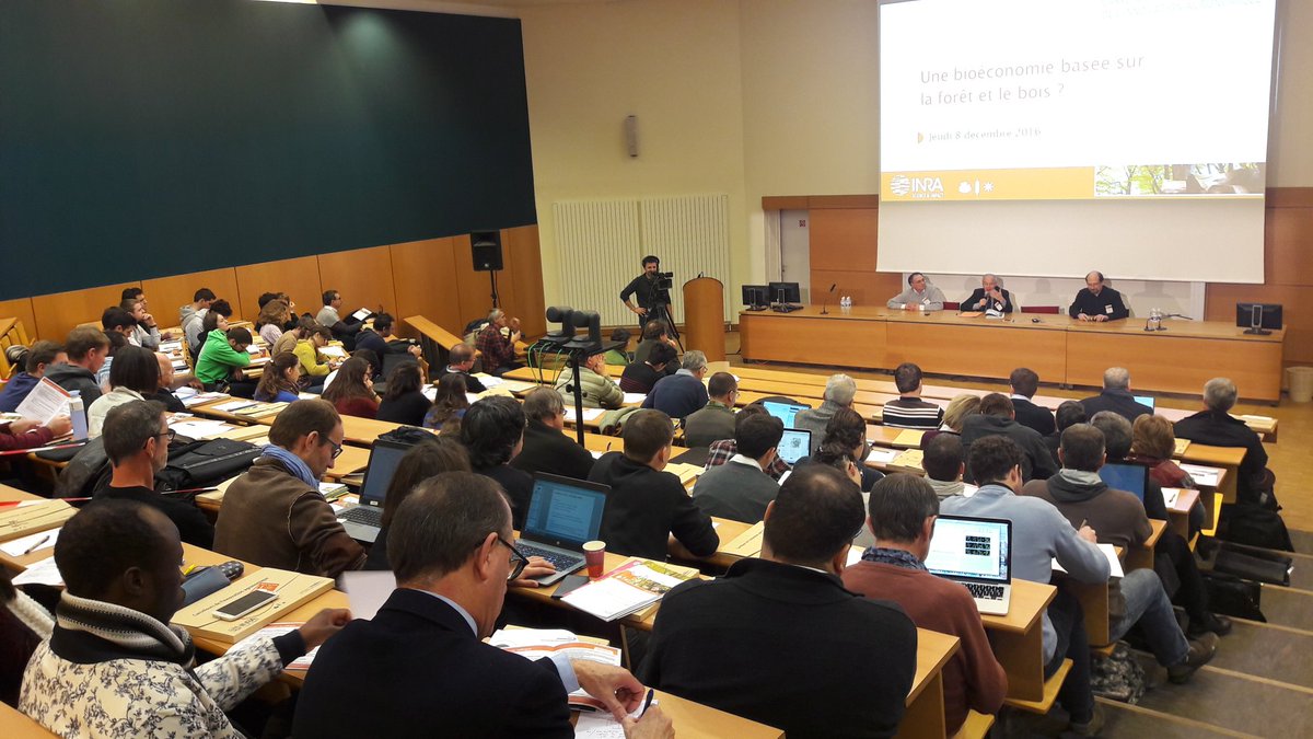 INRAE_Nancy's tweet photo. Place au 1er temps d échanges av @FHoullier JC.Hervé @IGNFrance & L.Hetemaki @europeanforest : valorisation du bois,bioenergie,... #ciag8dec https://t.co/vGcqobYuKk