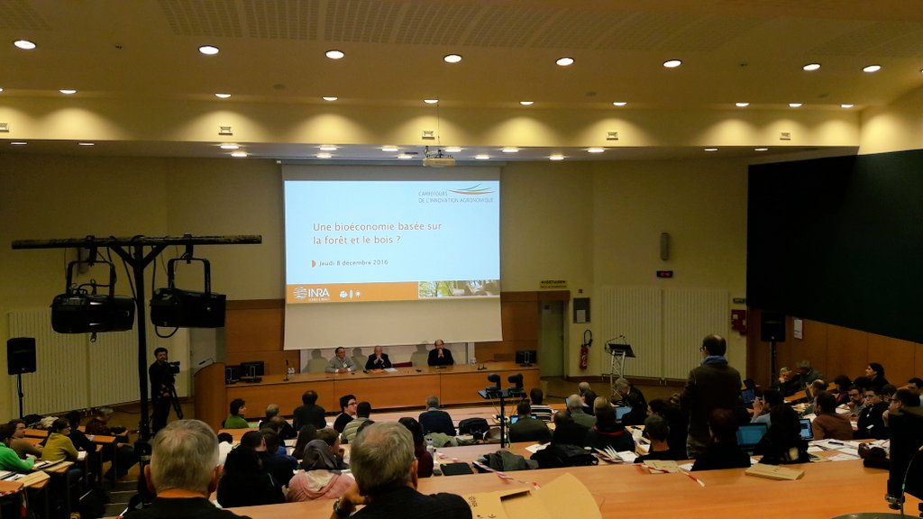INRAE_Nancy's tweet photo. Place au 1er temps d échanges av @FHoullier JC.Hervé @IGNFrance & L.Hetemaki @europeanforest : valorisation du bois,bioenergie,... #ciag8dec https://t.co/vGcqobYuKk