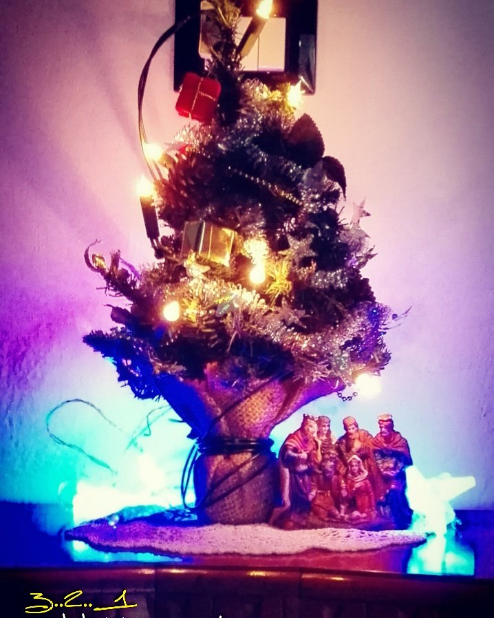 ScillaCristiano's tweet photo. #8dicembre #lucidinatale #addobbinatale @ScillaCristiano #chrstmas https://t.co/yQ8em5oPa7