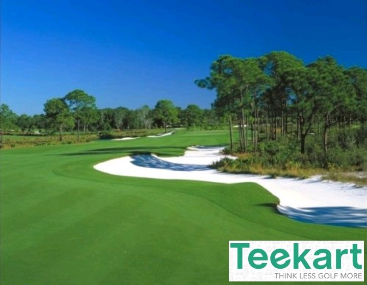 TeekartGolf's tweet photo. Orient Tianxing Country Club is cool place to golf. 
https://t.co/jF057VmQxC
https://t.co/obD5rSP8SG

#teekart #golf #travel #beautiful https://t.co/CQCt0sNq9l
