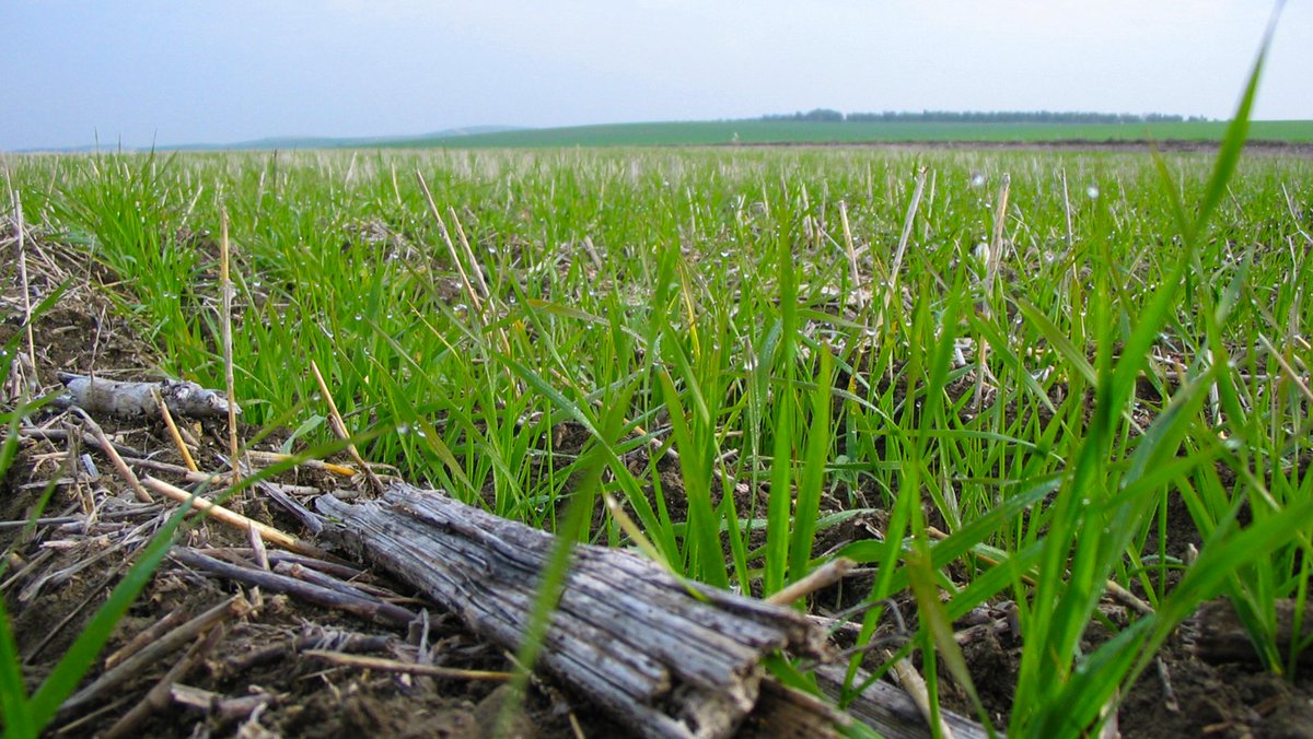 EUClimateAction's tweet image. A tool to measure #sustainable farming via #LIFE_Programme project #LIFEAgriCarbon: agricarbon.eu