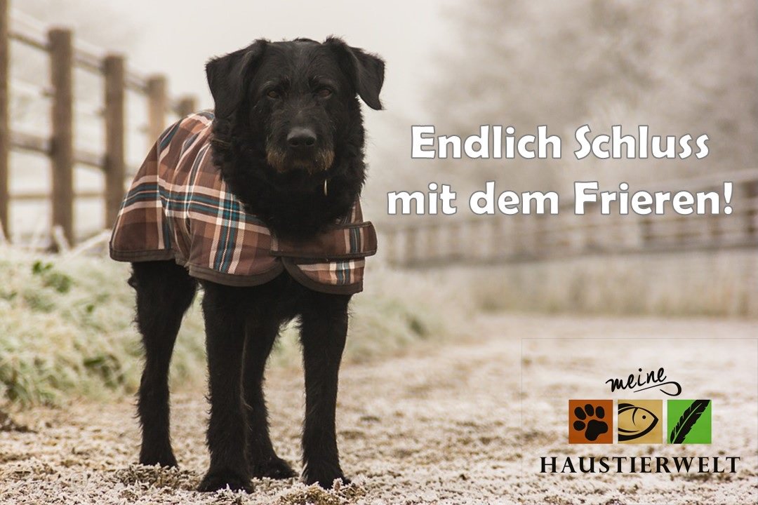 Große Auswahl an Winter- und Regenmänteln, sowie anderen Zubehör für Ihren Liebling.

Jetzt auf meinehaustierwelt24.de/hund/transport…