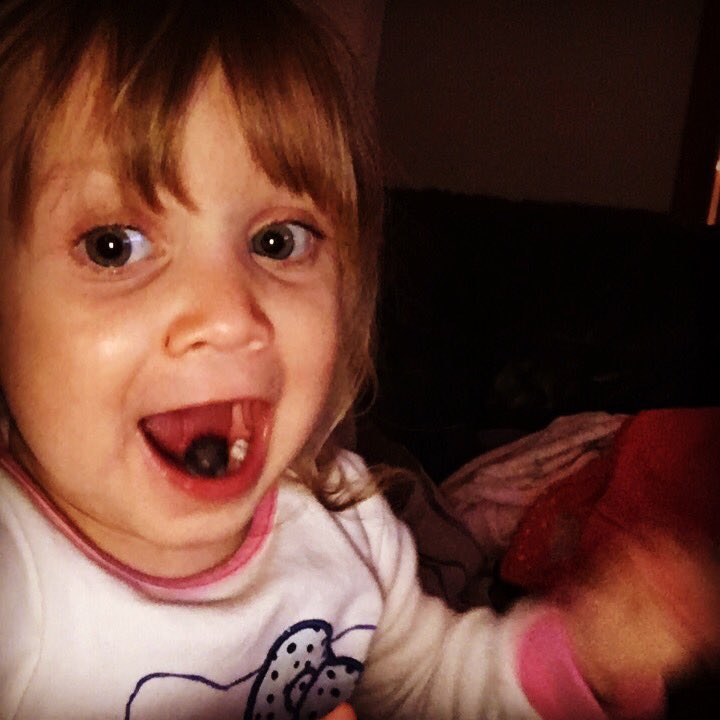 samferrier1's tweet photo. Cutie enjoying her blueberries https://t.co/SSn4GG0IIo
