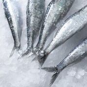Cornish Sea Salt (@cornishsea_salt) on Twitter photo #Fishmas fact: did you know that the barrels used for storing pilchards were originally called 'hogsheads'? <a href="/OceanFishUK/">Ocean Fish</a> #Fishmas fact: did you know that the barrels used for storing pilchards were originally called 'hogsheads'? <a href="/OceanFishUK/">Ocean Fish</a>