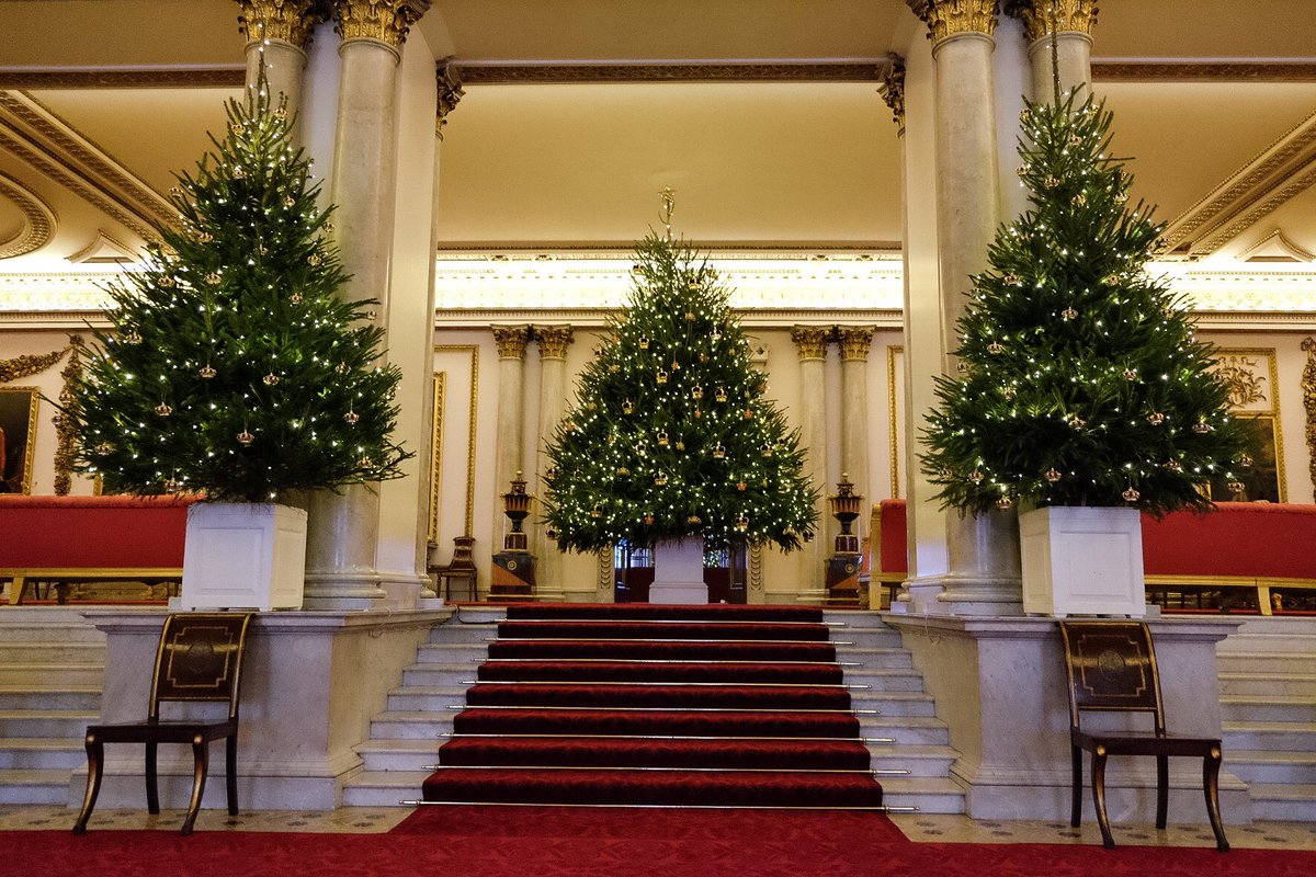 It's beginning to look a lot like Christmas at Buckingham Palace #NationalChristmasTreeDay 🎄
