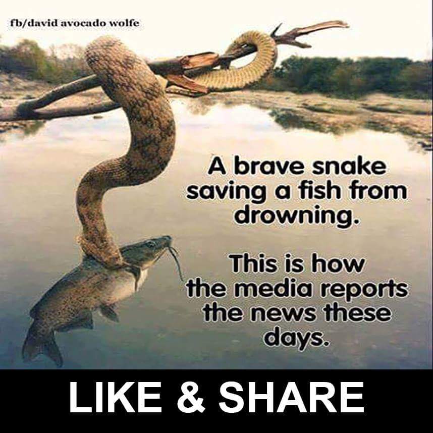 melorise12's tweet photo. @TomiLahren @oreillyfactor I thought this might make you smile. https://t.co/yLN4qirVpF