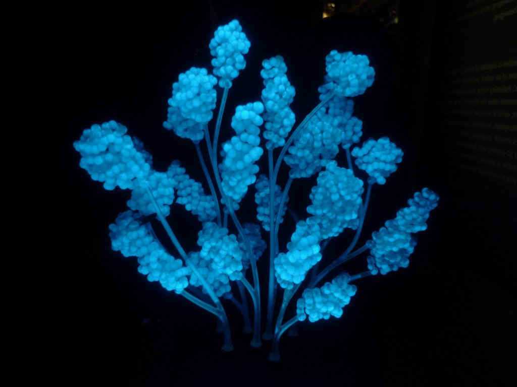 Dynamorphosis at the Fluid Matter exhibition MU Gallery Eindhoven