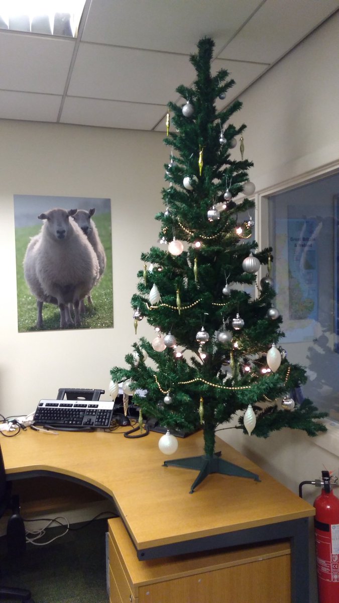 MikeG_CTL's tweet photo. #itsbeginningtolookalotlikechristmas  at #CulturaUK https://t.co/ORTMdZsgBd
