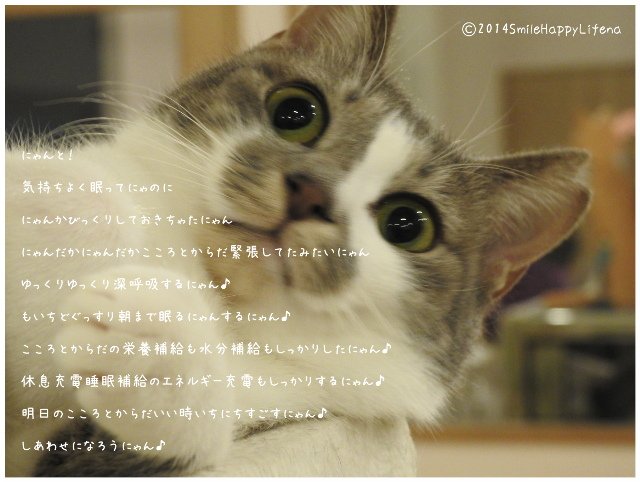 Twitterで画像を見る