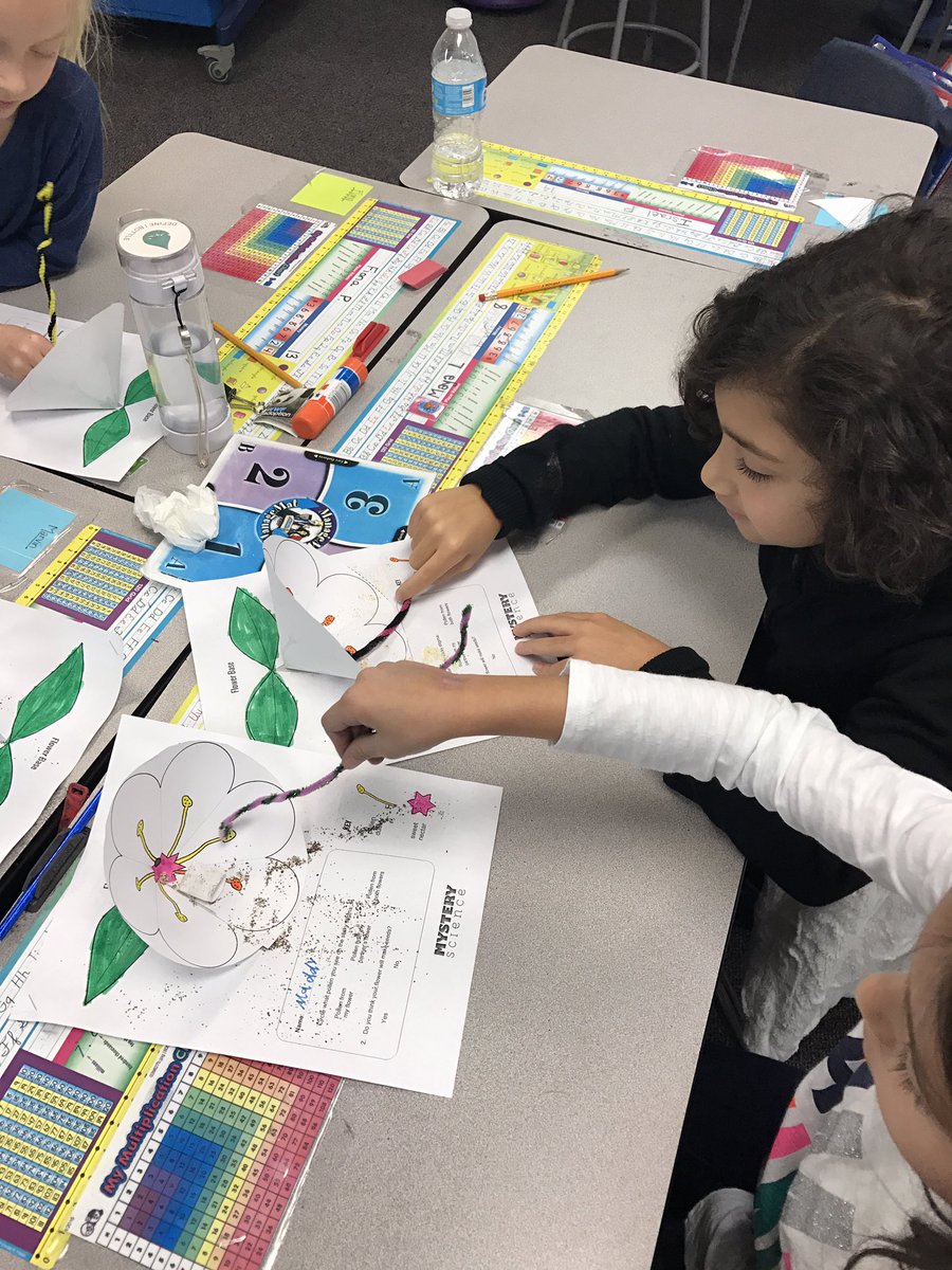 138minions's tweet photo. Learning about plant reproduction. Two kinds of pollen- will the bees do their job... yep! @SkokieSD69 #mysteryscience https://t.co/FOre5m9grM