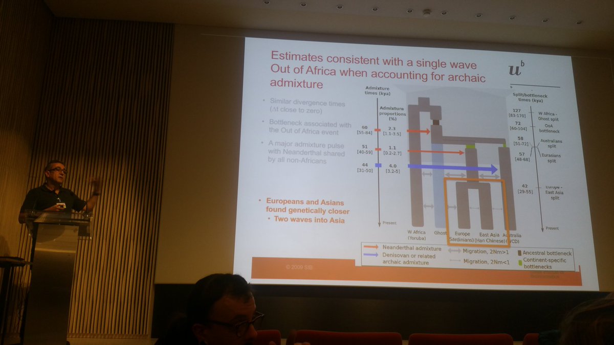 CelineBon's tweet photo. Clarifying Out of Africa and admixture with archaic humans by @loronet #DPHP @Musee_Homme https://t.co/0XHYxEFa4k