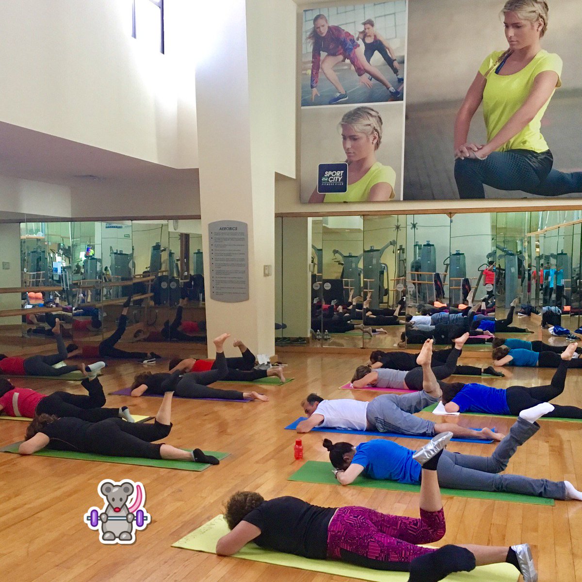 PaleFitness's tweet image. Acabe con las estiradas de aquí #FlexTraining (@ Sport City Fitness Club - @sportcity_mx) swarmapp.com/c/579M7VWp6NZ