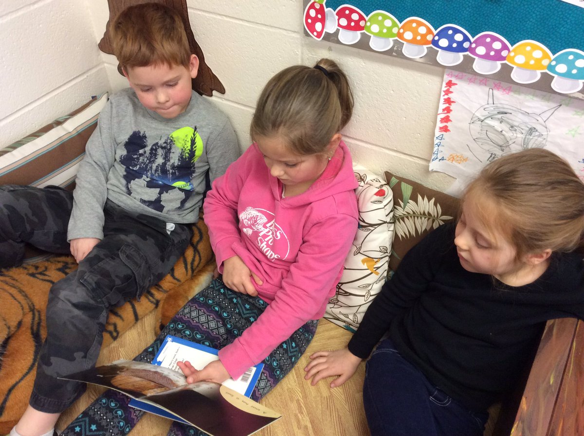 Ms. Pierce's Class tweet media