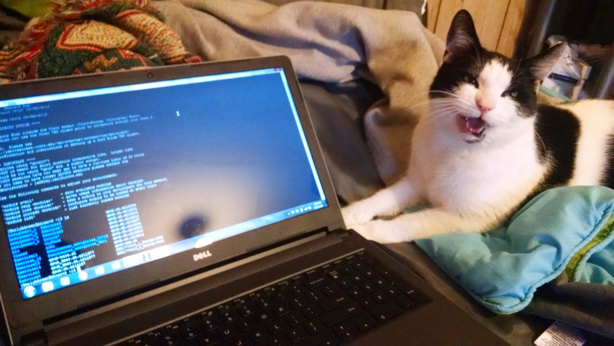 EG_Microbio's tweet image. With the help from my coding coach, Kharjo, I am ready for Dr. Klassen's final! #CodingCat #BioinformaticsBuddy