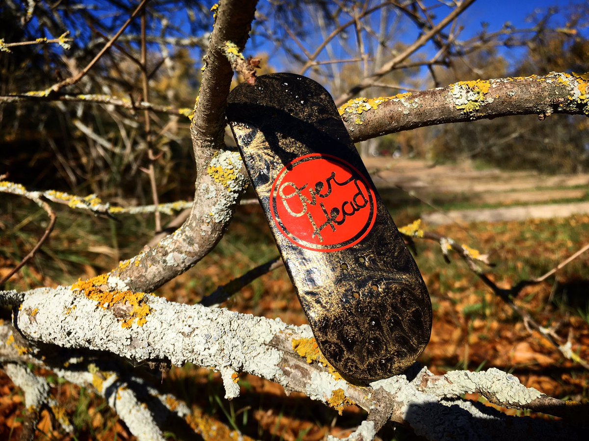 OverHeadFB's tweet photo. ➡️https://t.co/4l1Iodu7QC⬅️ #thisistruefingerboarding
#overheadfbstore #overheadfb #lovefingerboarding #oakwheels #mindgamelmtd https://t.co/qBGn6LEOP7