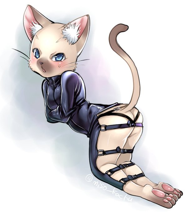まきだんごのtwitterイラスト検索結果 古い順 まきだんごのtwitterイラスト検索結果 古い順