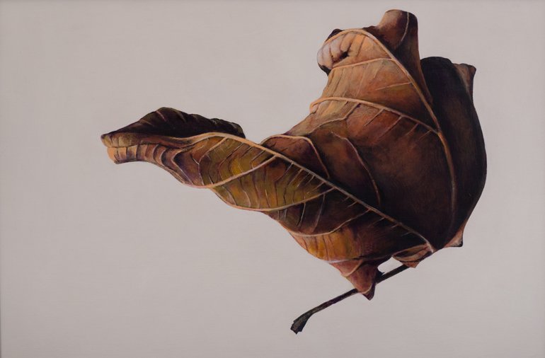 MahlstedtArt's tweet photo. "Autumn in Space" https://t.co/MKdes78B7M by David Bush a fine art painting of a dried maple leaf suspended in zero gravity. #DavidBush #Art https://t.co/y2jmxpOyX0