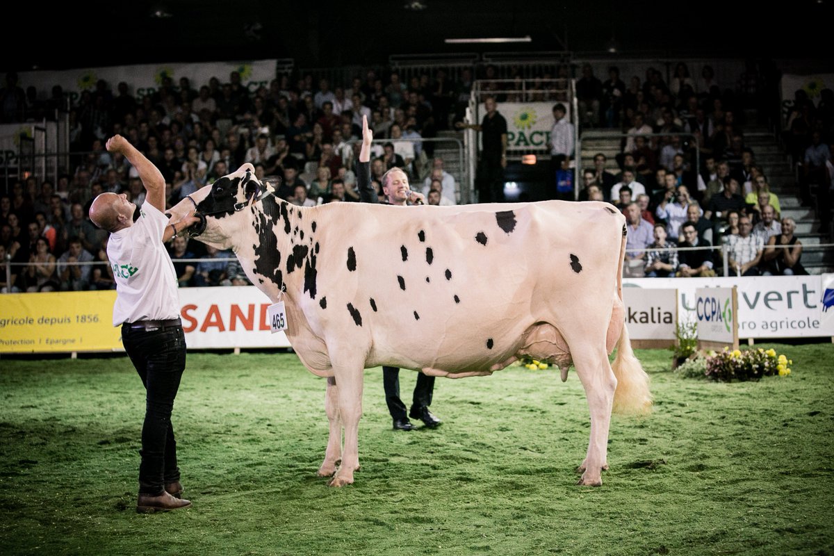 SPACERennes's tweet photo. (Re)vivez l'intensité et l'atmosphère des #concours du #SPACE2016 en images par le @studio2prairies : https://t.co/Aqhbel9HJF https://t.co/HbWH6wtoO7