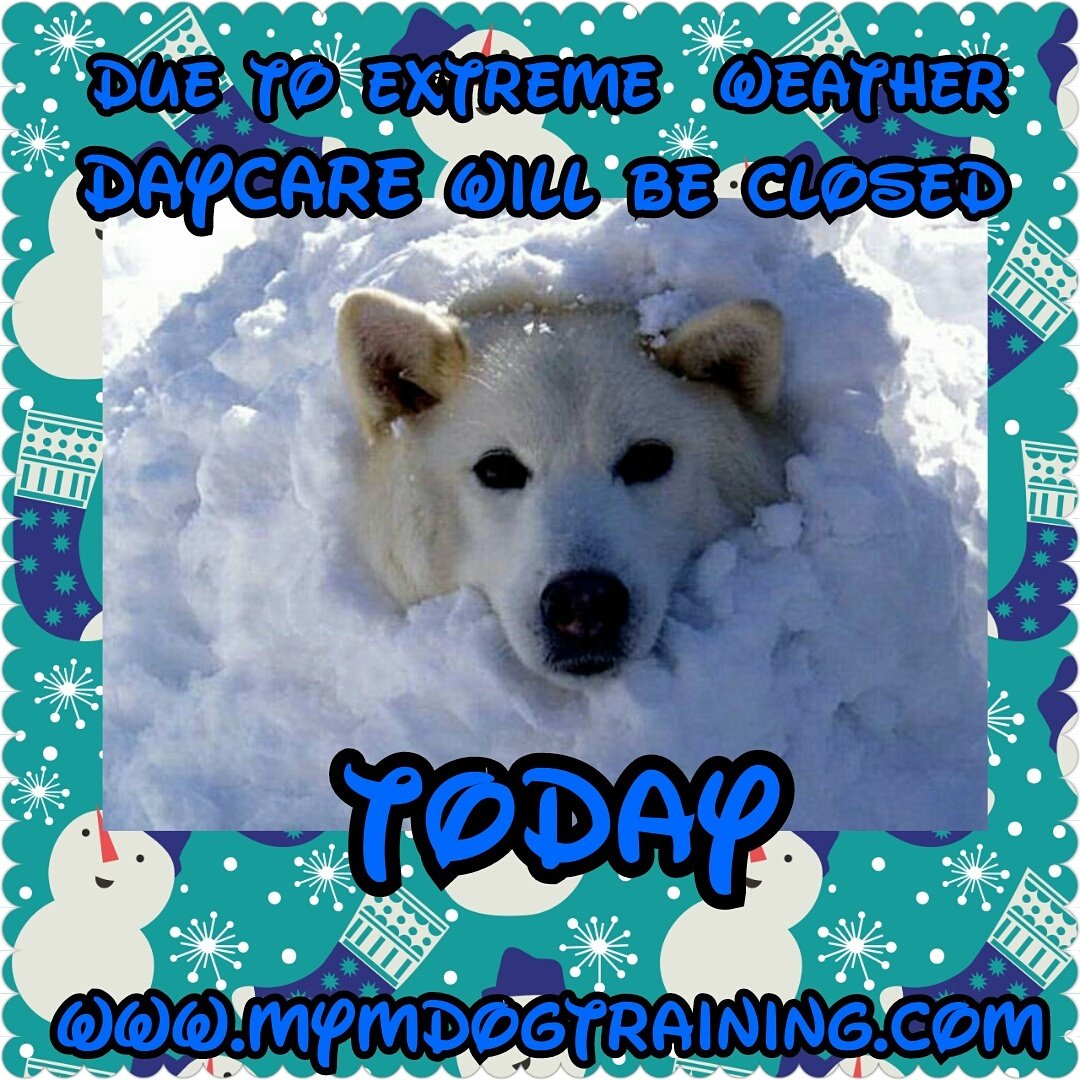mymdogtraining's tweet photo. https://t.co/XyZXggEpBW