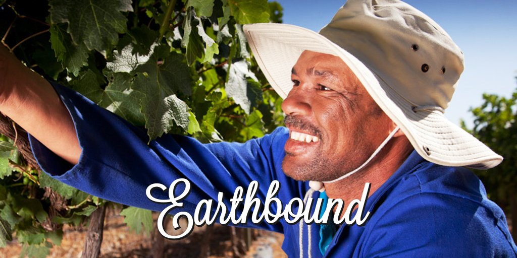 Did you know that South Africa produces two-thirds of the world's Fairtrade wine? @FairtradeSA
