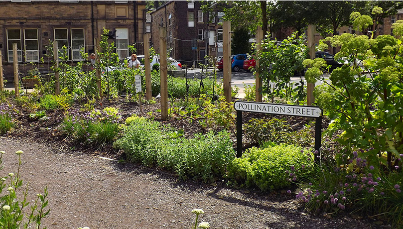 Autosuficientes tweet media