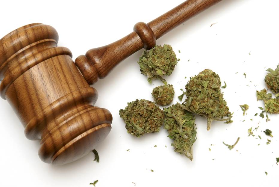 "7 Reasons President Trump Is Unlikely to Fight Legal Marijuana" 
ti.me/2h08qaL #cannabis