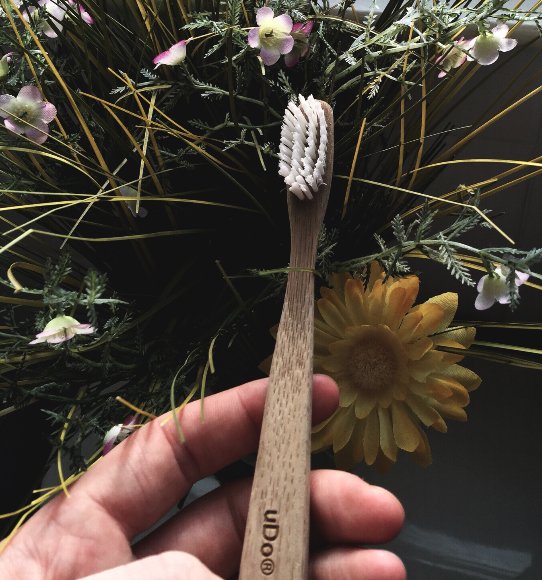 UDOBRUSH's tweet photo. Pretty things! #Flowers #Green #uDo #BambooToothbrush https://t.co/frekL4OP2h