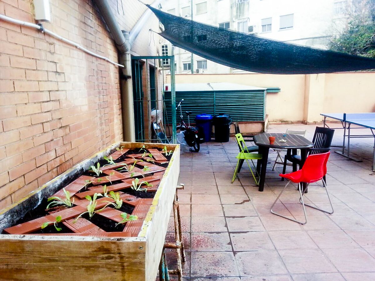 Barbacode tweet media